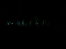 IMG_20150620_033621