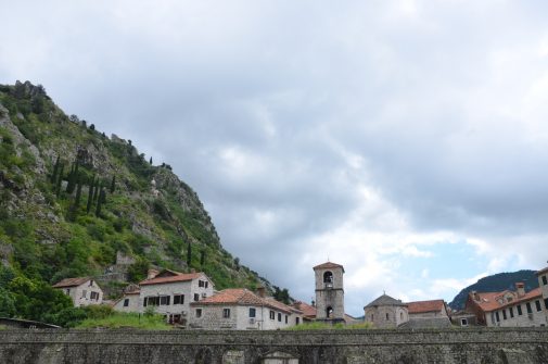 DSC_0501